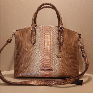 Brahmin Duxbury